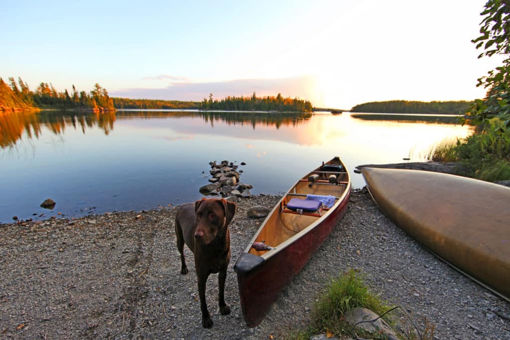 top-rated campgrounds in Minnesota - Canoes and dog in the Boundary Waters Canoe Area. Disappointment Lake