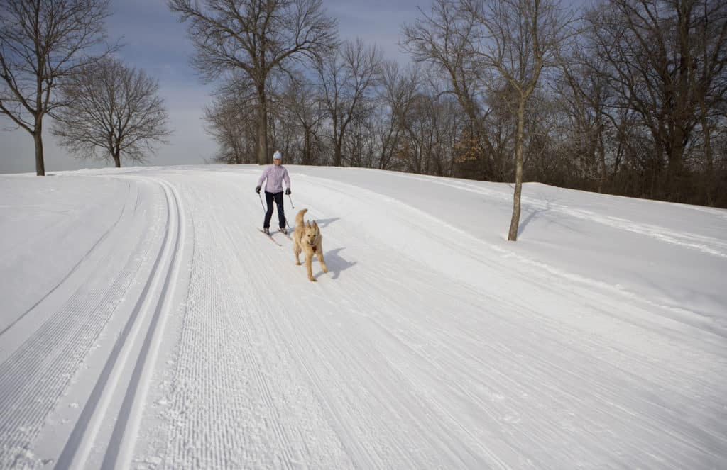 top-rated campgrounds in Minnesota - Skijoring in Minnesota.