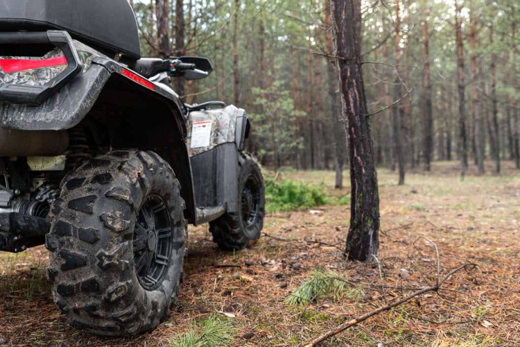 ATV Trails - ATV awd quadbike motorcycle back pov view near tree in coniferous pine foggy forest with beautiful nature landscape morning mist. Offroad travel adventure trip expedition. Extreme recreation activity.